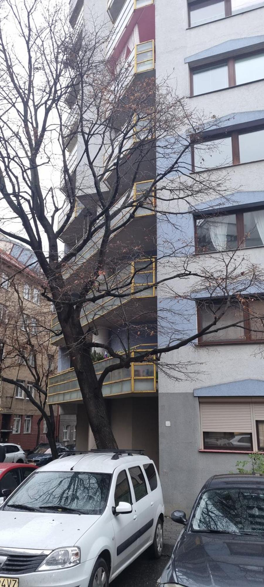 Huge Apartment Next To Train Station Close To The City Center Bratislava Eksteriør bilde